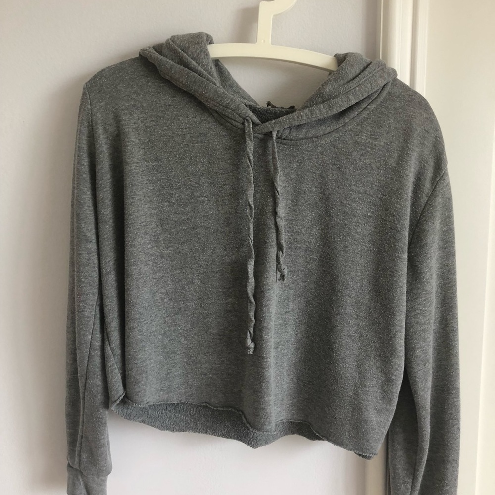 ✨ Grey Cropped Hoodie